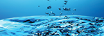 Water Treatment