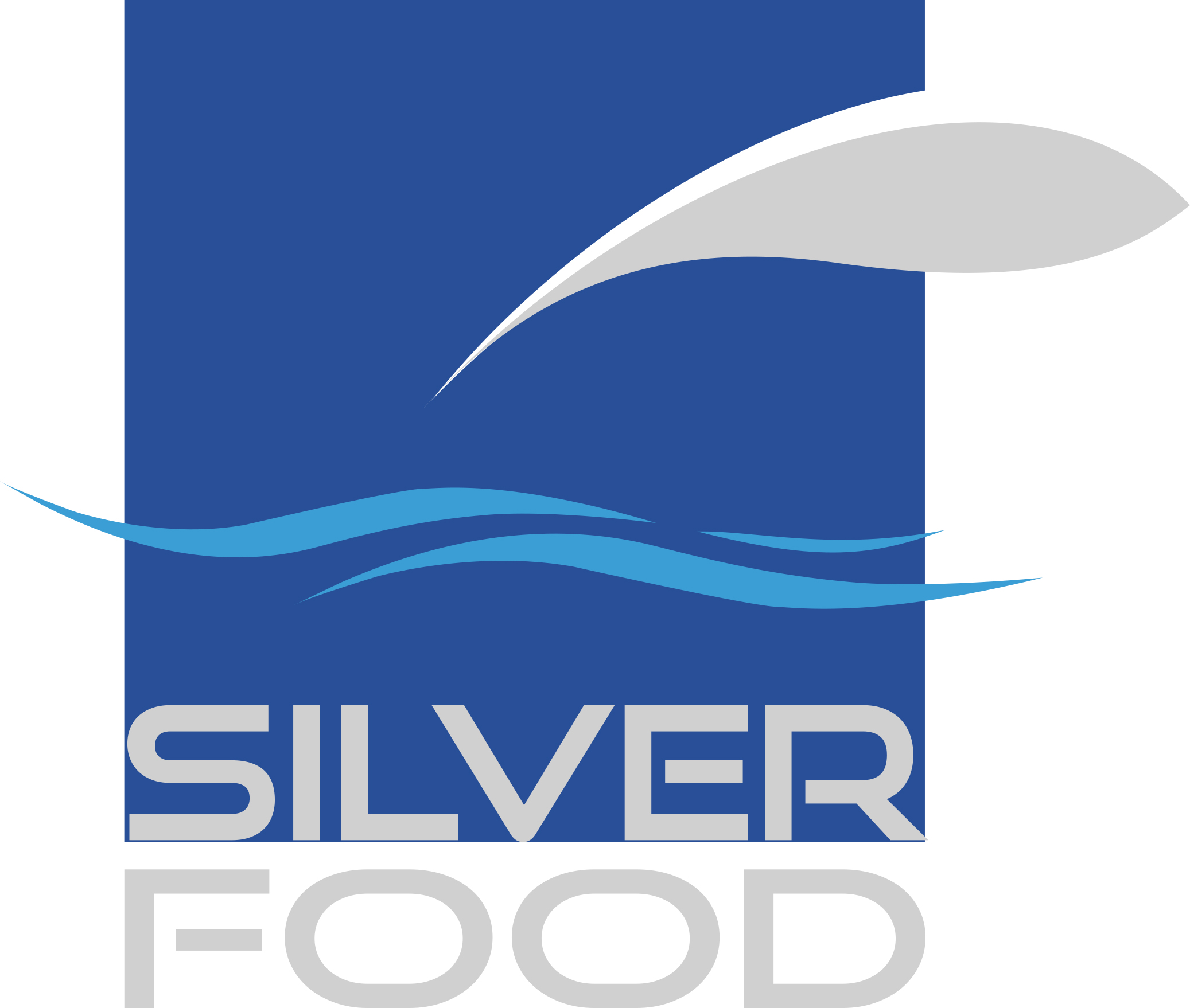 SILVER FOODS
